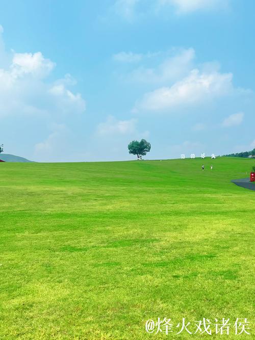 “青青草原视频：探索大自然的绿色奇迹”