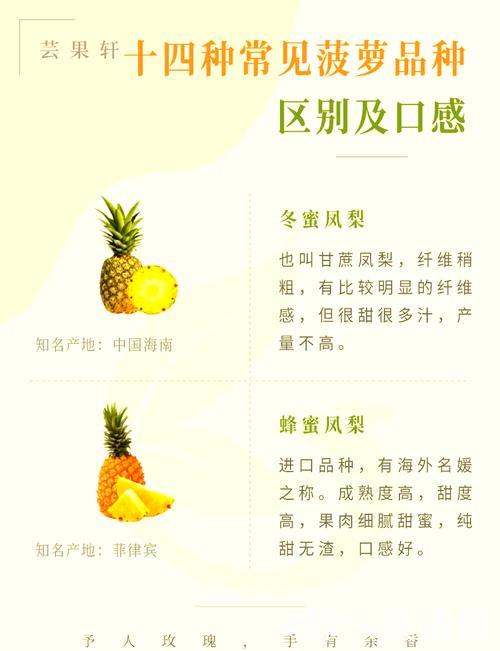 菠萝视频黄的趣味解读与探索分析